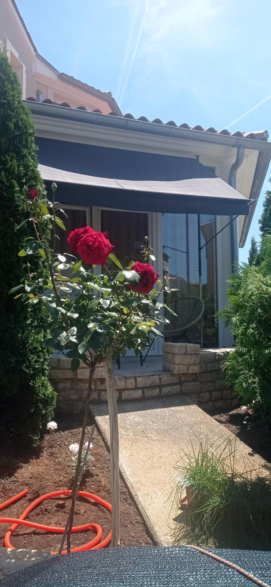 Villa Gregovica &T 2 Pula Exterior photo